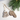 Ornament Gift Set